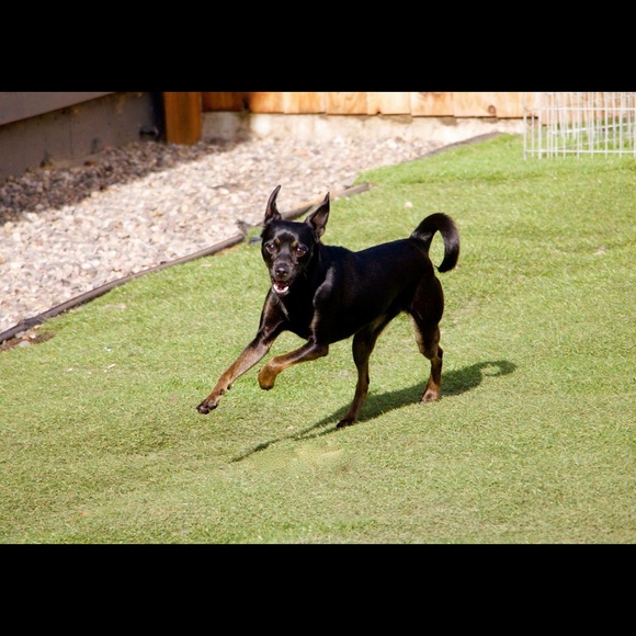 Meet your Posher, Sarah - Picture 5 of 6